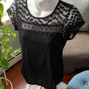 Market & Spruce Adelina Lace Detail Knit Top XS